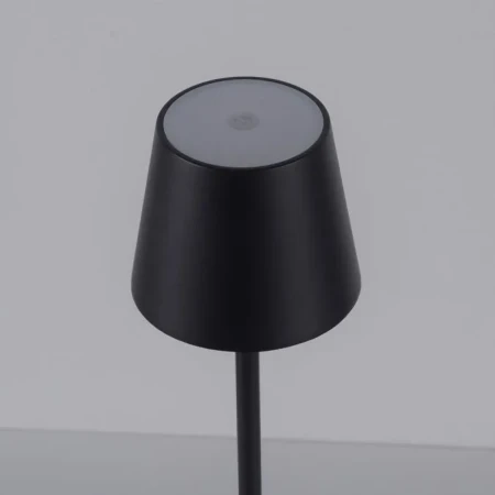 Lampa stołowa biurkowa EURIA 19250-18 - Paul Neuhaus