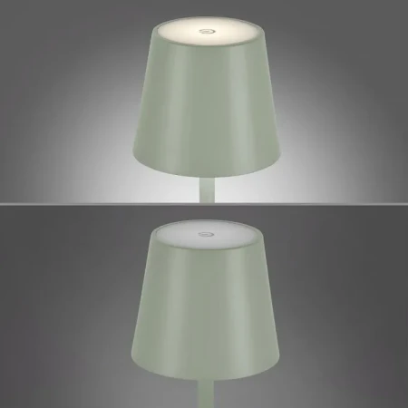Lampa stołowa EURIA 19250-43 - Paul Neuhaus