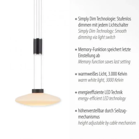Lampa wisząca nowoczesna LAUTADA 2080-18 - Paul Neuhaus