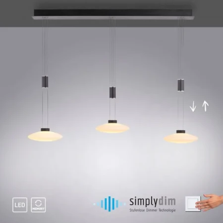 Lampa wisząca nowoczesna LAUTADA 2081-18 - Paul Neuhaus