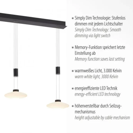 Lampa wisząca nowoczesna LAUTADA 2081-18 - Paul Neuhaus