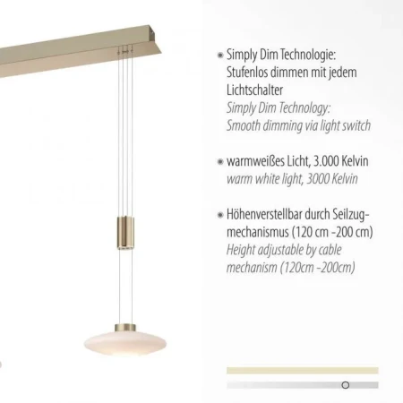 Lampa wisząca nowoczesna LAUTADA 2081-60 - Paul Neuhaus