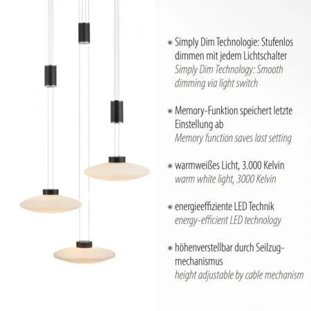Lampa wisząca nowoczesna LAUTADA 2082-18 - Paul Neuhaus