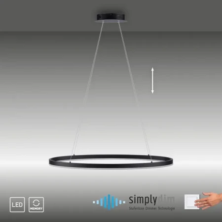 Lampa wisząca LED TITUS 2392-13 - Paul Neuhaus