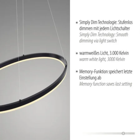 Lampa wisząca LED TITUS 2392-13 - Paul Neuhaus