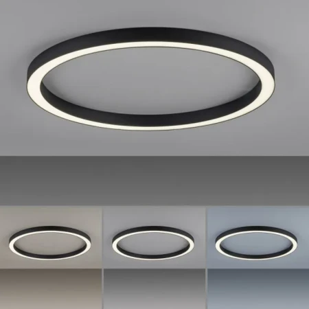 Lampa sufitowa LED PURE-LINES 6306-13 - Paul Neuhaus