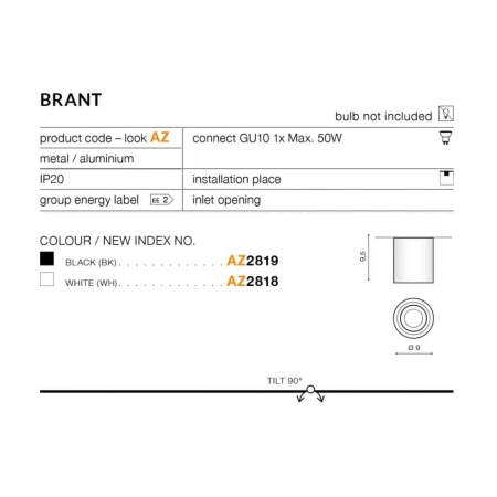 Lampa sufitowa Brant AZ2929 – Azzardo