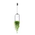 Lampa wisząca PLANT 1 5003 - Zuma Line
