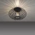 Lampa sufitowa RACOON 11410-18 - Paul Neuhaus