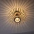 Plafon loft RACOON 11410-79 - Paul Neuhaus