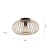 Plafon loft RACOON 11410-79 - Paul Neuhaus