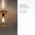 Plafon loft RACOON 11411-79 - Paul Neuhaus