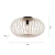Plafon loft RACOON 11411-79 - Paul Neuhaus
