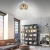 Plafon loft RACOON 11412-79 - Paul Neuhaus