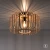 Plafon loft RACOON 11413-79 - Paul Neuhaus