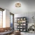 Plafon loft RACOON 11413-79 - Paul Neuhaus