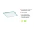 Plafon nowoczesny FLAT 14750-21 - Paul Neuhaus