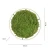 Lampa sufitowa GREEN RITUS 15392-66 - Paul Neuhaus