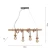 Lampa loft wisząca ROPE 15483-18 - Paul Neuhaus