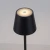 Lampa stołowa biurkowa EURIA 19250-18 - Paul Neuhaus