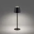 Lampa stołowa biurkowa EURIA 19250-18 - Paul Neuhaus
