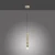Lampa wisząca LED PURE-VEGA 2211-60 - Paul Neuhaus