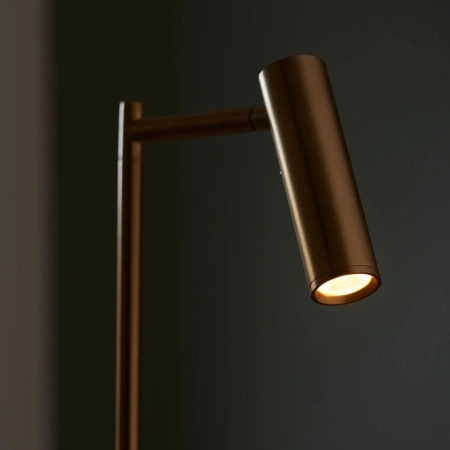 Lampa podłogowa metalowa mosiężna LED 99774 z serii Dedicated Reader - Endon Lighting