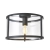 Plafon czarny metalowy ze szklanym kloszem 31cm 101540 z serii Hopton - Endon Lighting