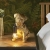 Lampa stołowa złoty mops z żywicy 107324 - Endon Lighting