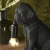 Lampa stołowa czarna z żywicy w kształcie mopsa 107325 z serii Pug Puppy - Endon Lighting