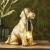 Lampa stołowa złota w kształcie psa 107364 z serii Labrador Puppy - Endon Lighting