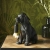Lampa stołowa czarna w kształcie psa 107365 z serii Labrador Puppy - Endon Lighting