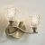 Kinkiet mosiężny dwupunktowy ze szklanymi kloszami BOYER-2WBAB-L z serii BOYER - Endon Lighting