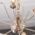 Lampa wisząca 6-punktowa chromowana z lnianym abażurem 94357 z serii Highclere - Endon Lighting