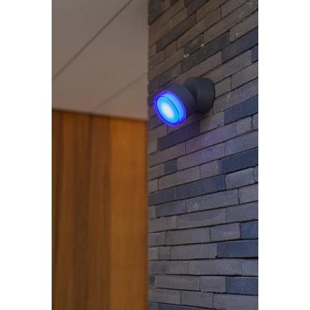 Lampa sufitowa zewnętrzna DROPSI ciemny szary 5010901118 – Lutec