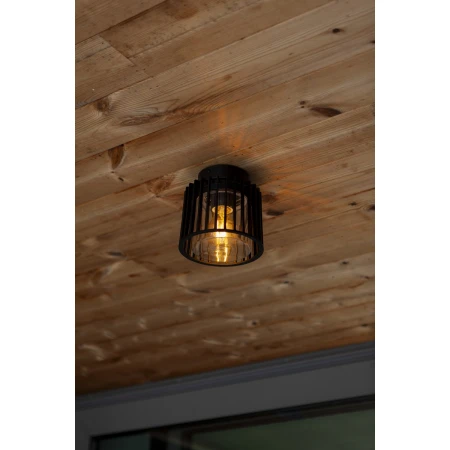 Lampa sufitowa SHYNE 6397501012 - Lutec