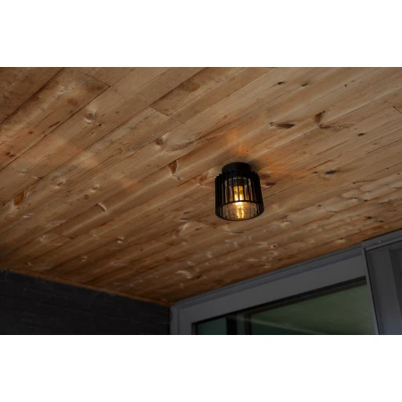 Lampa sufitowa SHYNE 6397501012 - Lutec