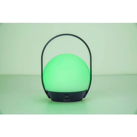 Przenośna lampa CARDI 6501702330 - Lutec