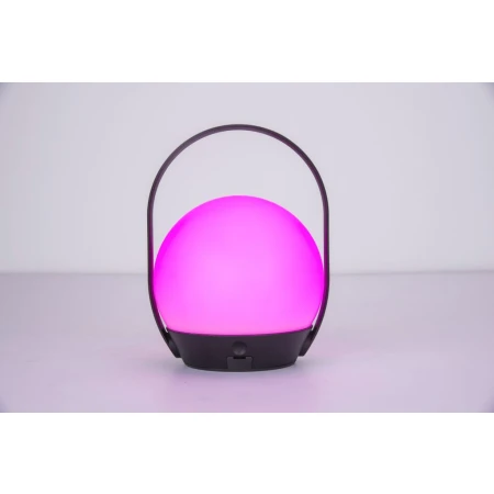 Przenośna lampa CARDI 6501702330 - Lutec