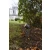 Reflektor ogrodowy EXPLORER antracyt 6609201118 – Lutec