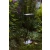 Zewnętrzna lampa stojąca SPIDO SOLAR 6915901012 - Lutec