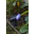 Reflektor ogrodowy GINBO SOLAR PIR 6938405330 - Lutec