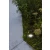 Oprawa dogruntowa CYDOPS 7704223012 - Lutec