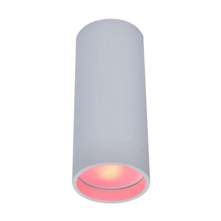 Oprawa sufitowa STAG 8304801446 - Lutec