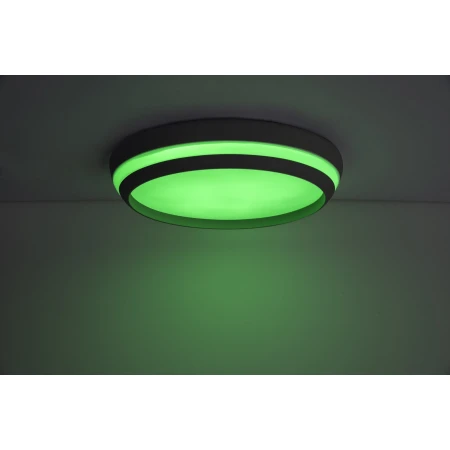 Lampa sufitowa okrągła CEPA 8402901012 - Lutec