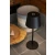 Zewnętrzna lampa ROBLE 8500601012 - Lutec