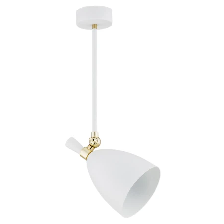 Lampa loft wisząca CHARLOTTE 4684 - Argon