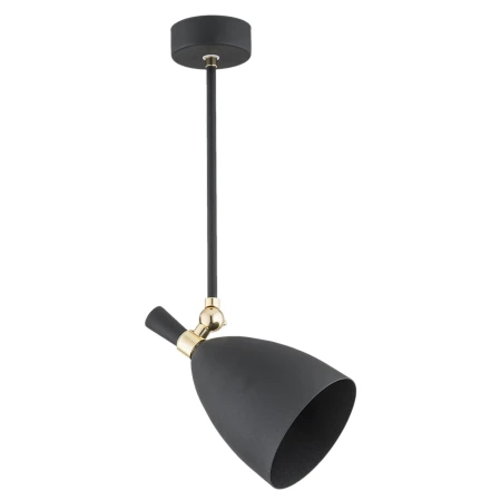 Lampa loft wisząca CHARLOTTE 4686 - Argon