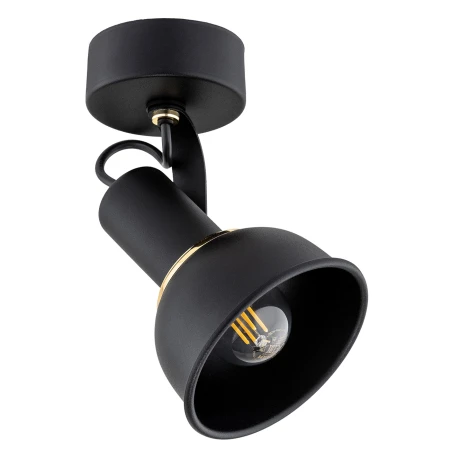 Kinkiet loft TWIST 4900 - Argon