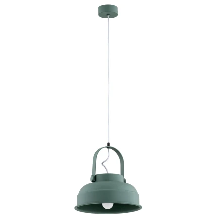 Lampa wisząca industrialna DAKOTA 8287 zielona - Argon